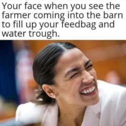 AOC feedbag meme