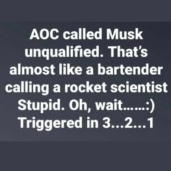 aoc calls musk unqualified